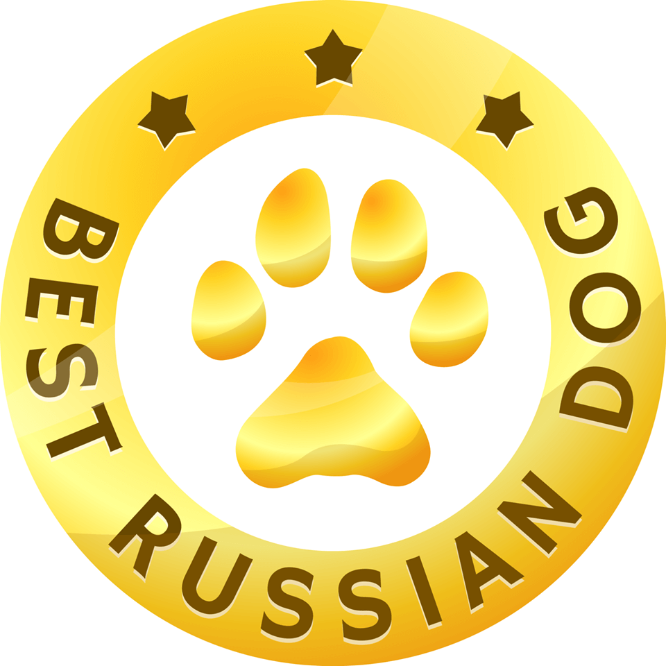 Международный выставочный рейтинг шоу собак - НКП Фландрский Бувье